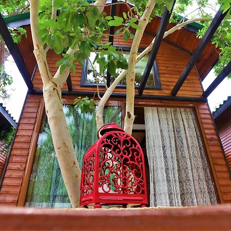 Koala Bungalows Όλυμπος Εξωτερικό φωτογραφία