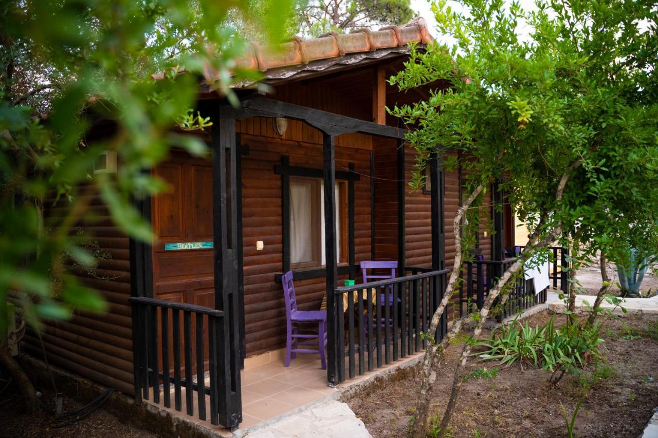 Koala Bungalows Όλυμπος Εξωτερικό φωτογραφία