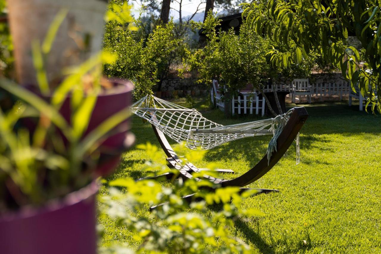 Koala Bungalows Όλυμπος Εξωτερικό φωτογραφία