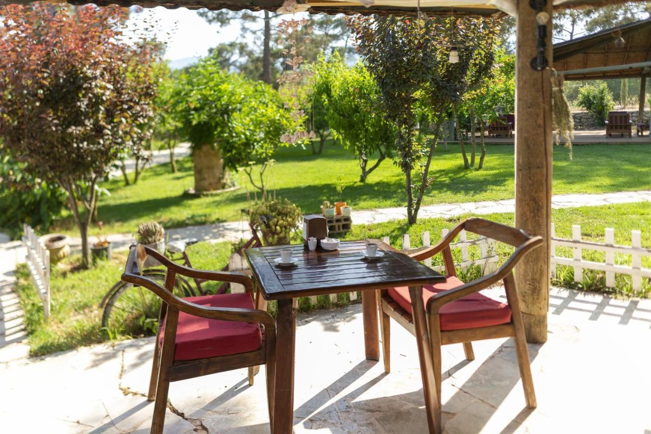 Koala Bungalows Όλυμπος Εξωτερικό φωτογραφία
