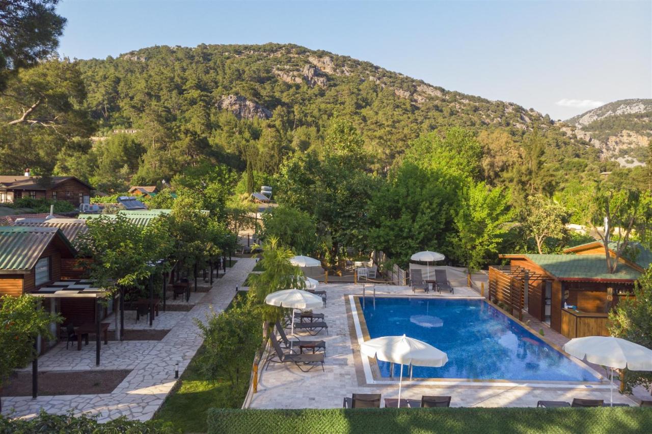 Koala Bungalows Όλυμπος Εξωτερικό φωτογραφία