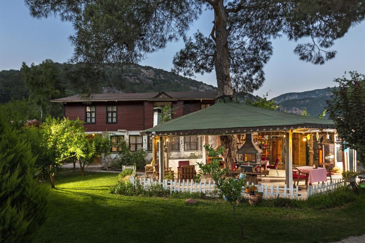 Koala Bungalows Όλυμπος Εξωτερικό φωτογραφία
