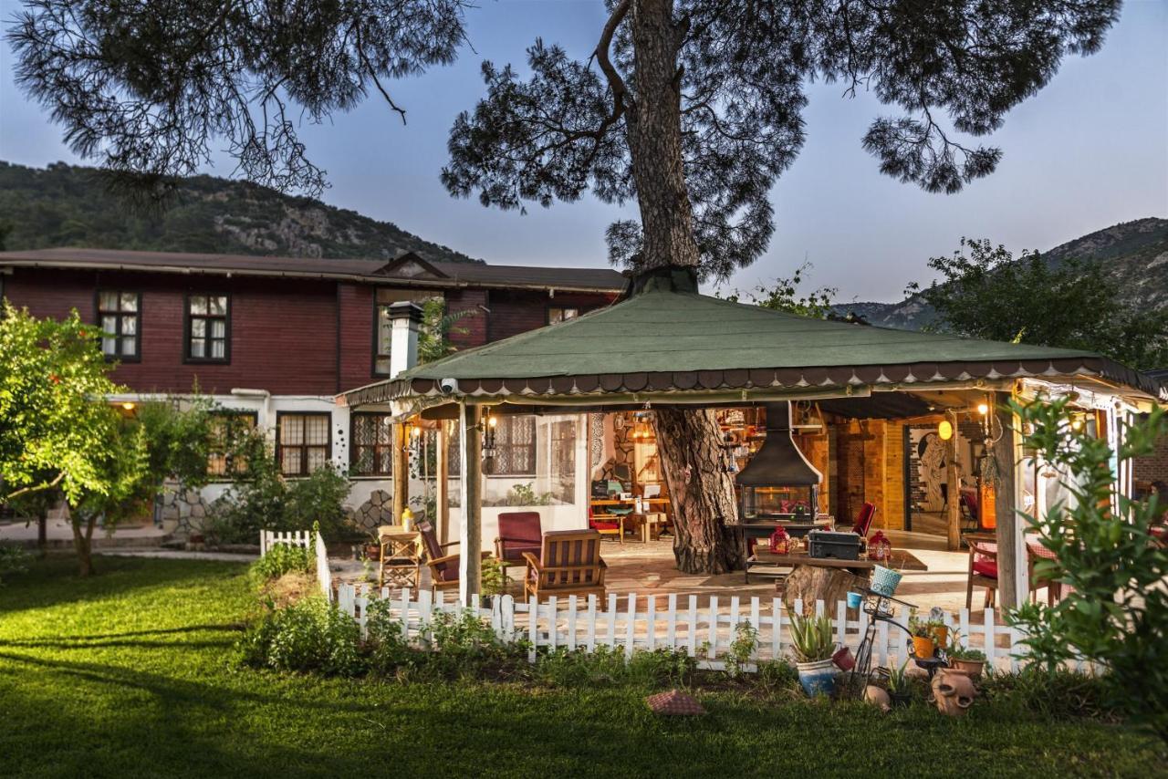 Koala Bungalows Όλυμπος Εξωτερικό φωτογραφία