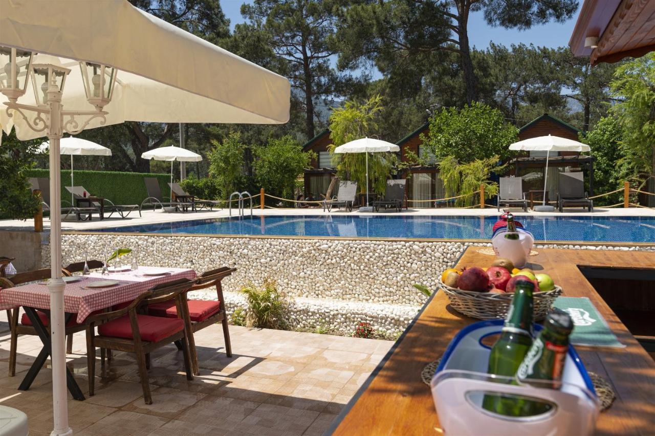 Koala Bungalows Όλυμπος Εξωτερικό φωτογραφία
