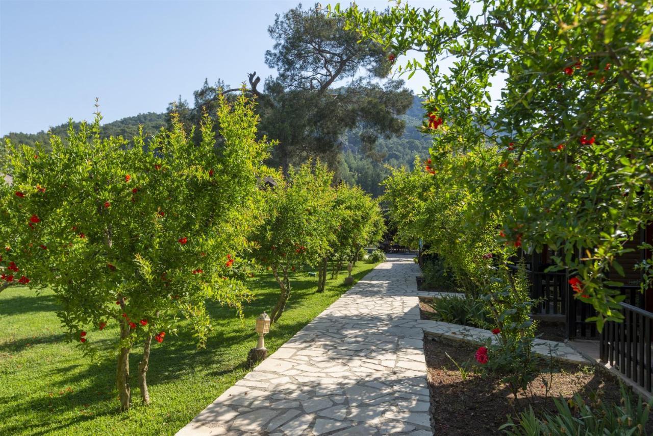 Koala Bungalows Όλυμπος Εξωτερικό φωτογραφία