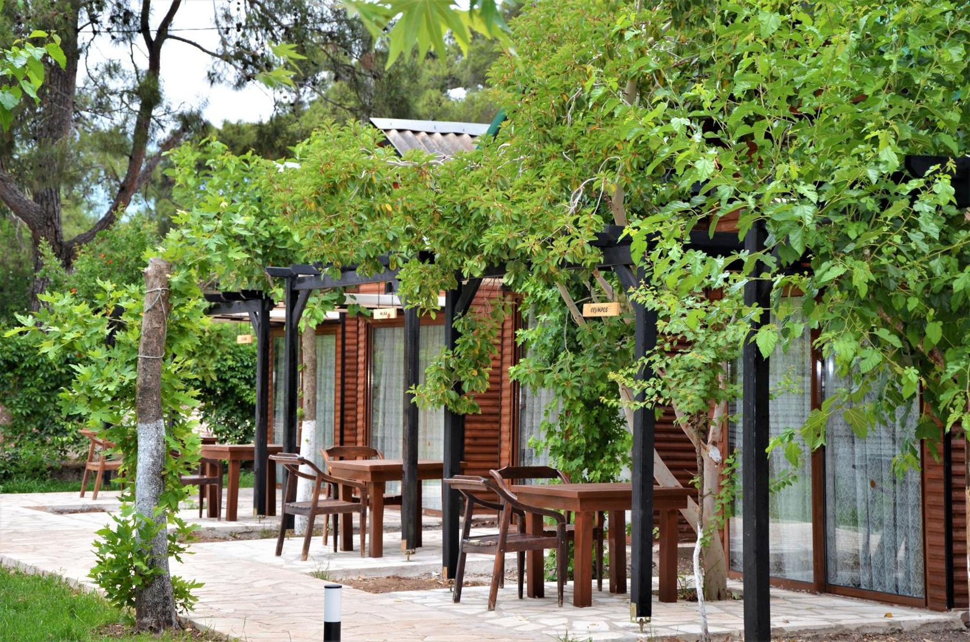 Koala Bungalows Όλυμπος Εξωτερικό φωτογραφία
