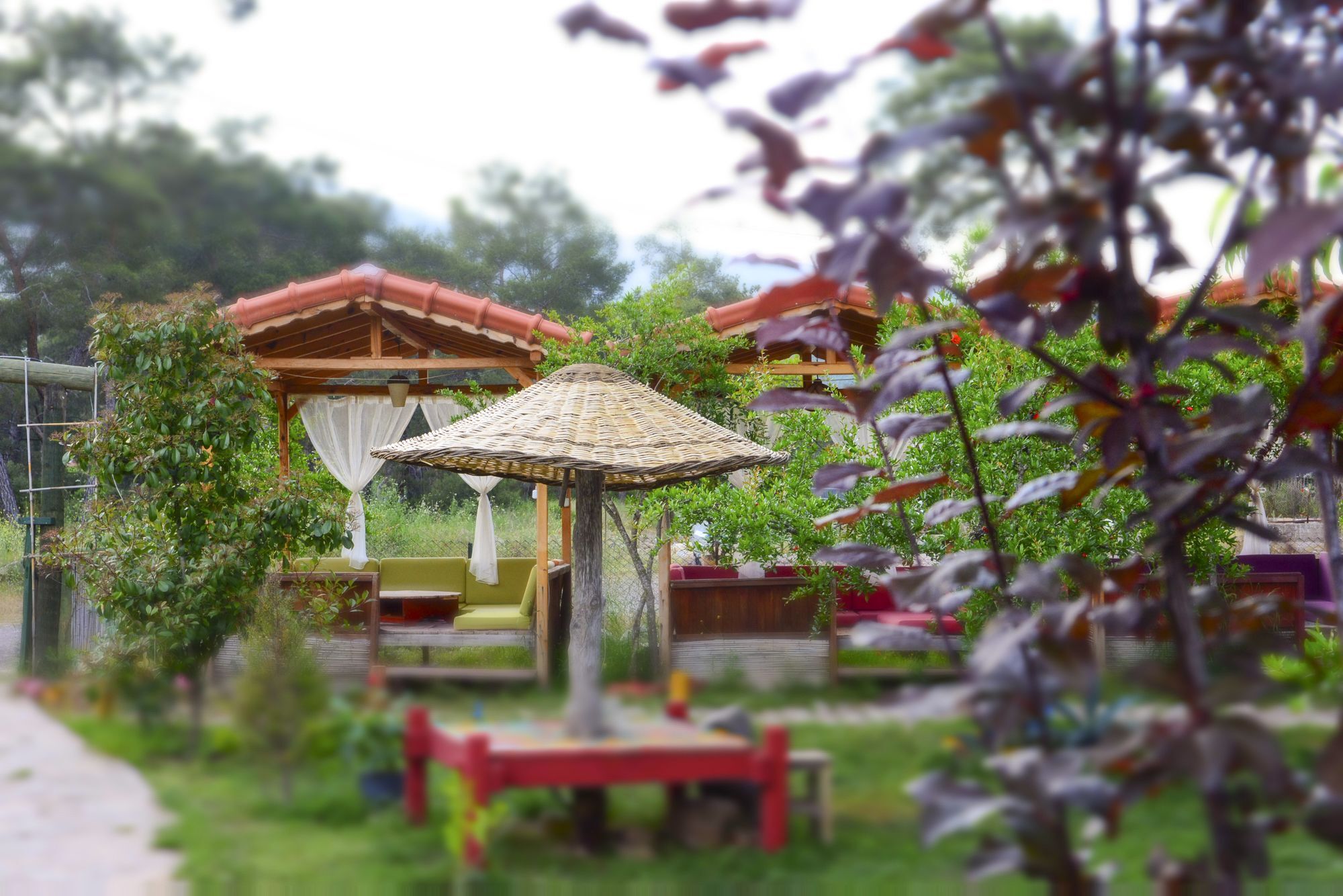 Koala Bungalows Όλυμπος Εξωτερικό φωτογραφία