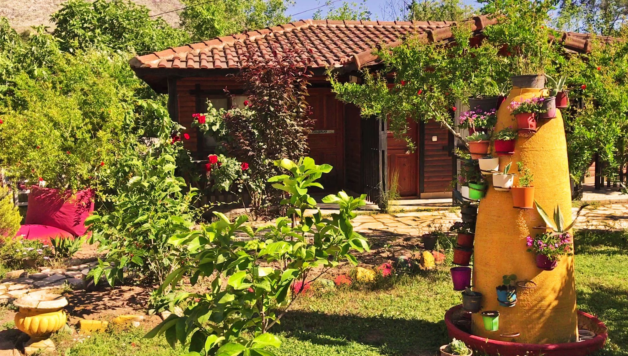 Koala Bungalows Όλυμπος Εξωτερικό φωτογραφία