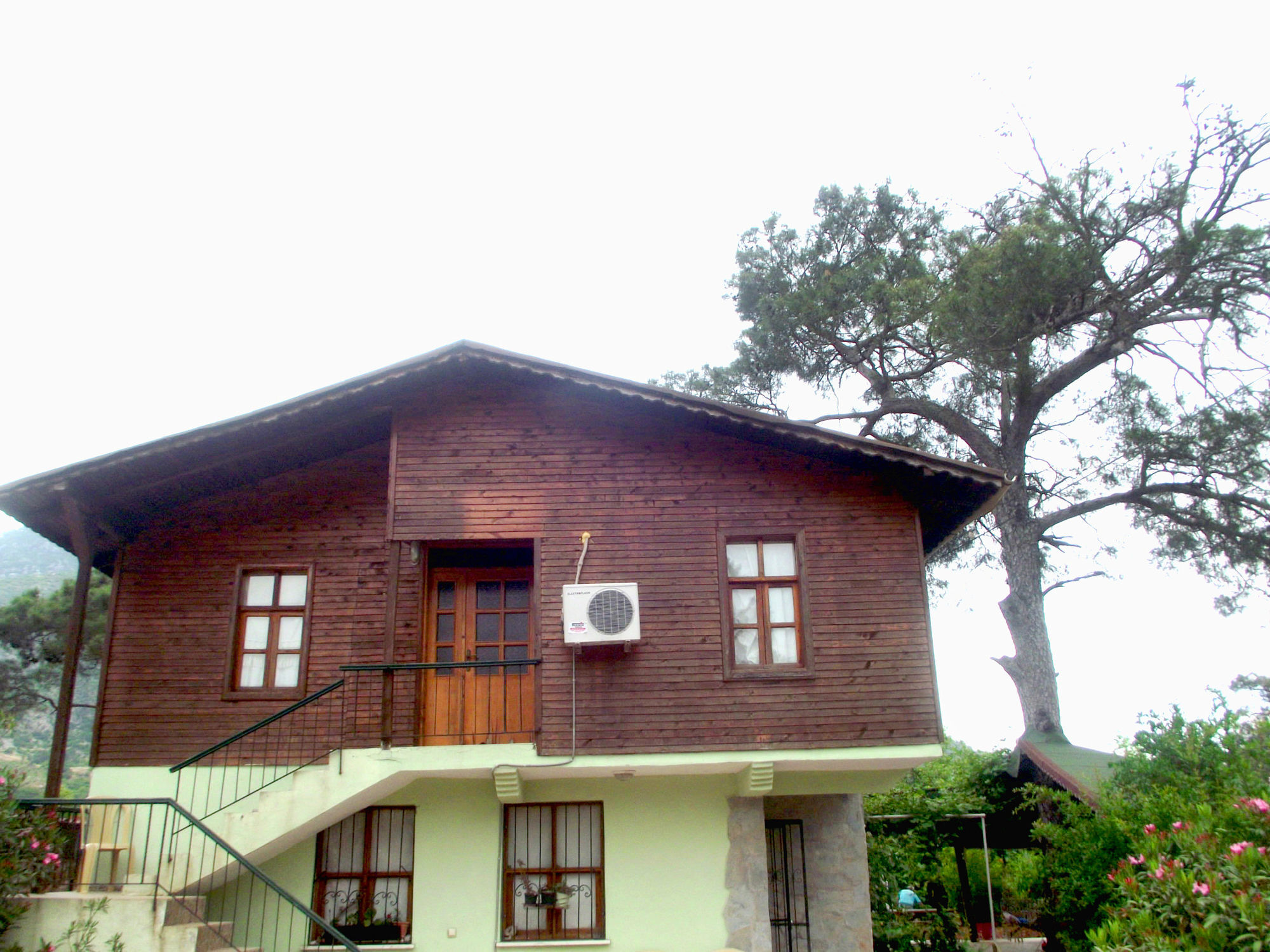 Koala Bungalows Όλυμπος Εξωτερικό φωτογραφία