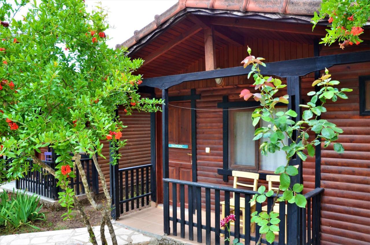 Koala Bungalows Όλυμπος Εξωτερικό φωτογραφία